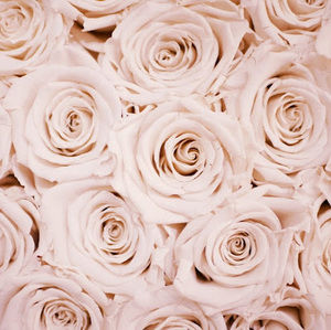 Meet your Posher, Jada